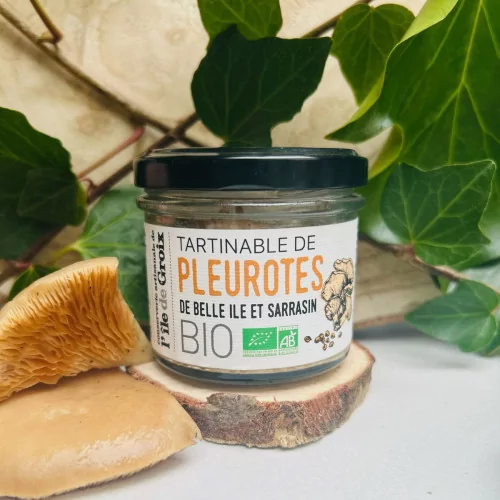 Tartinable de pleurotes de Belle Ile et sarrasin BIO