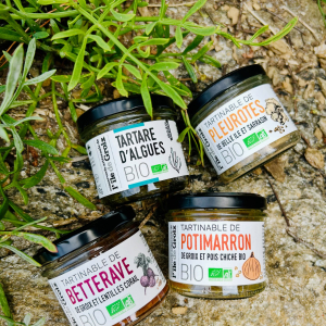 Un apéritif végétarien aux saveurs insulaires 🌿 🌱 Tartare d’algues Bio, tartinables de légumes insulaires, notre gamme végétale & bio met à l’honneur des ingrédients soigneusement sélectionnés, entre terre et mer. À tartiner sur du pain frais, à servir avec des crackers ou à accompagner de crudités croquantes : une idée simple, fraîche et gourmande pour vos apéritifs d’été ☀️ Et jusqu’au 31 août, commandez et recevez votre apéro directement sur votre lieu de vacances : les frais de port sont offerts dès 30€ 💙 👉 Offre à retrouver dès maintenant sur notre site ! #groixetnature #apero #bio #alguesdebretagne #vegetarien
