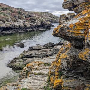 [GROIX] Port Saint-Nicolas s’enveloppe d’une belle couleur automnale et le ciel gris se mêle à la mer tranquille 🌊Un lieu où la nature se fait plus sauvage et où le temps semble s’arrêter 🍂#ÎledeGroix #nature #portsaintnicolas #automneagroix #bretagne