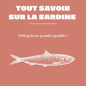 Petit poisson, grandes qualités !🐟 Aujourd’hui, on vous dit tout sur la sardine : un incontournable de nos recettes chez Groix & Nature 🌊Pêchée en Bretagne, elle est ensuite travaillée avec soin dans notre conserverie sur l’île de Groix. Naturellement riche en oméga-3, source de vitamine D et de calcium, elle a aussi plus d’un tour dans son filet côté cuisine ✨ Sur une tartine, dans une bruschetta, un cake ou tout simplement à l’apéritif… il ne reste plus qu’à choisir votre façon préférée de la savourer 😋 👉 Rendez-vous sur notre site pour découvrir nos produits : https://groix-et-nature.com/fr/47-sardine #sardine #bretagne #conserverieartisanale #rillettesdesardine #apéritif