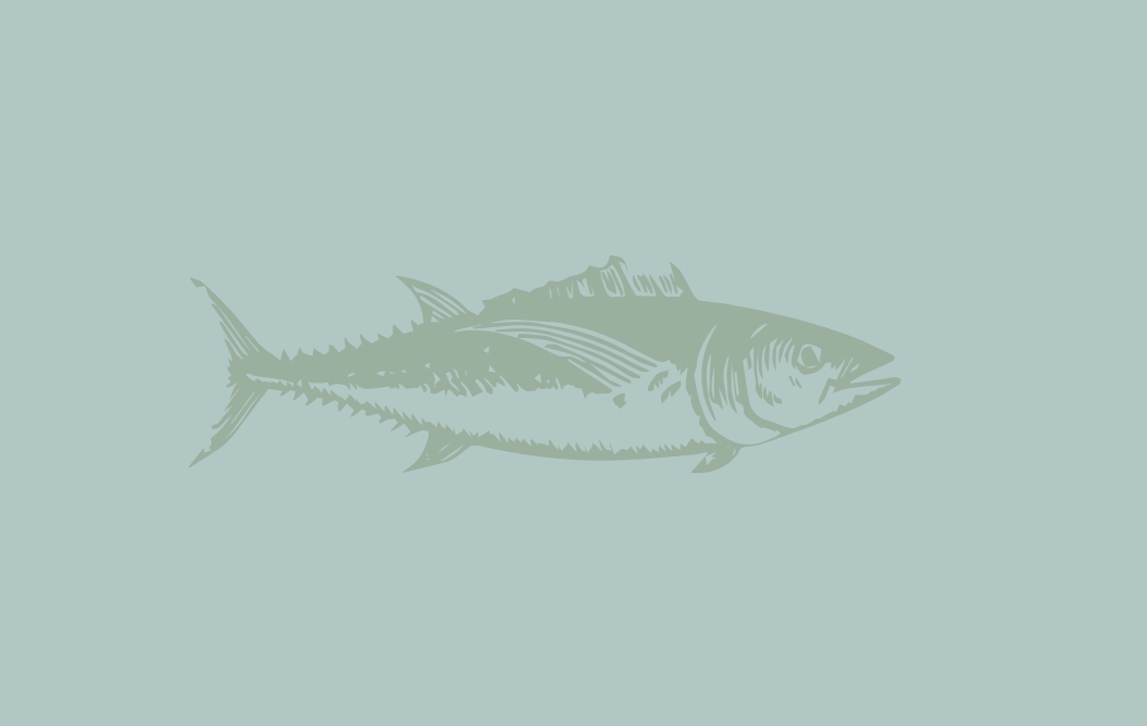 Everything you need to know about tuna